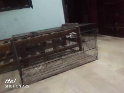 cage for sale