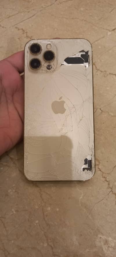 Apple iPhone 12 Pro Max