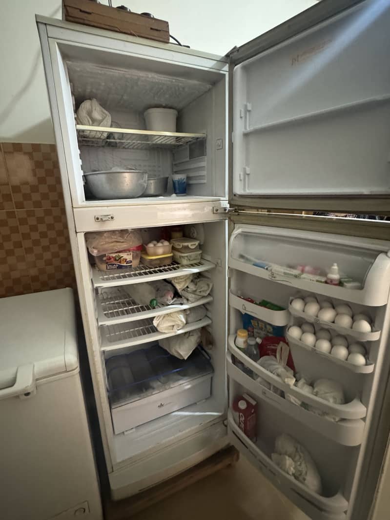 Fridge ( Medium) 6