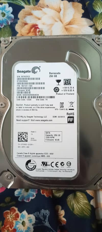 Seagate 250 GB hard drive