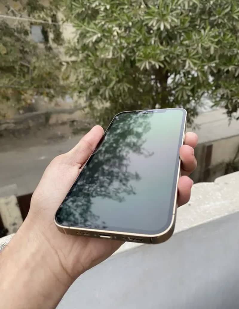 iPhone 12pro Max 1
