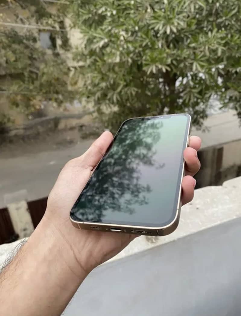 iPhone 12pro Max 3