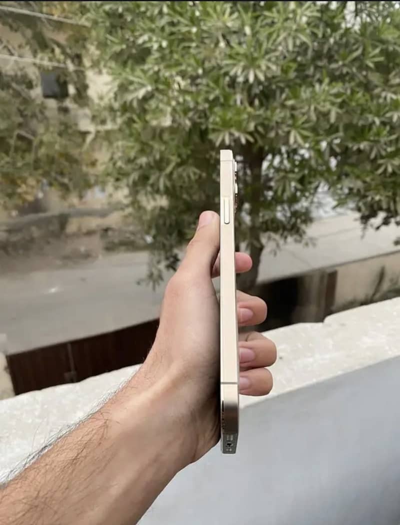 iPhone 12pro Max 6