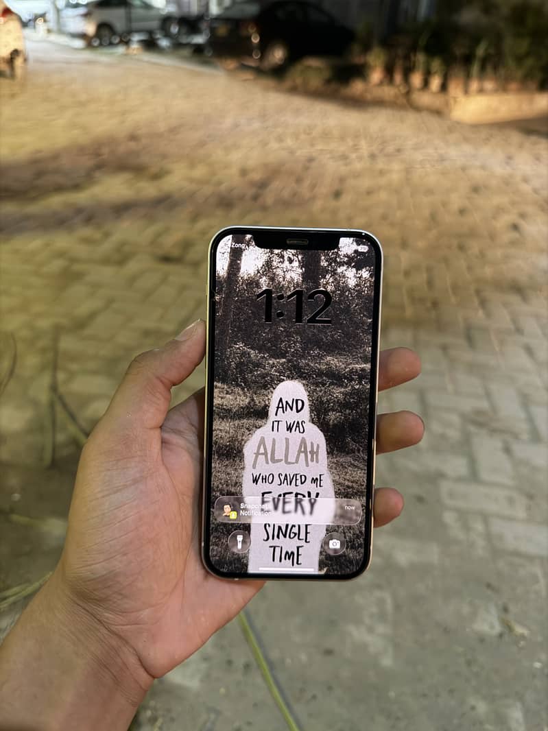 Apple iPhone 12 1