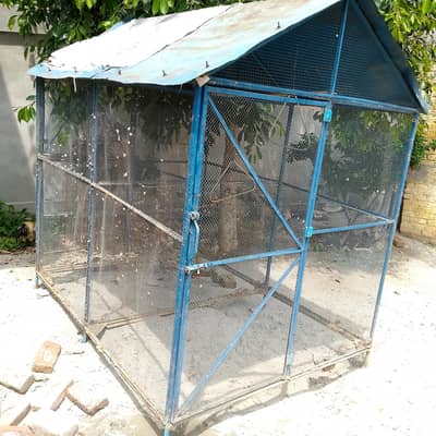 birds cage