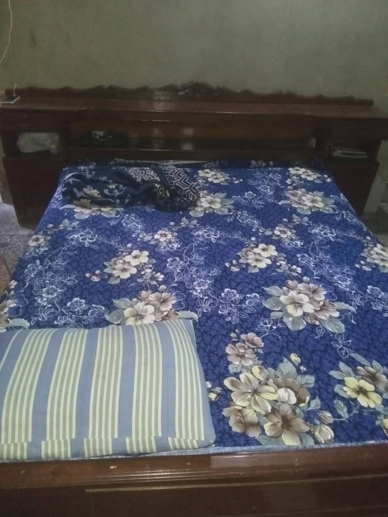 olx user 5