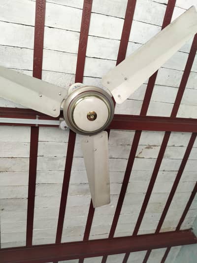 3 Fans For Sale