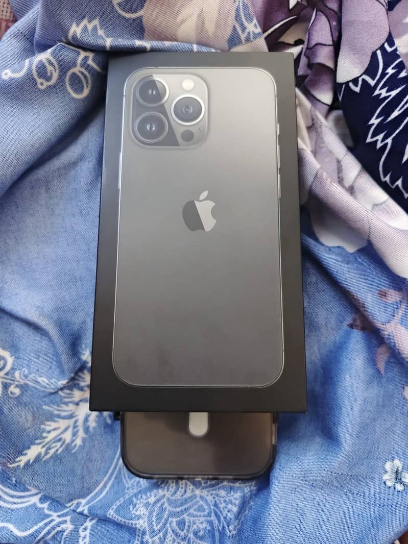IPONE 13pro 1