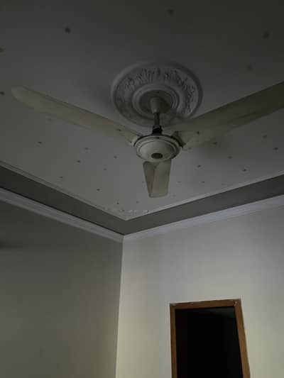 20 Fans for sale
