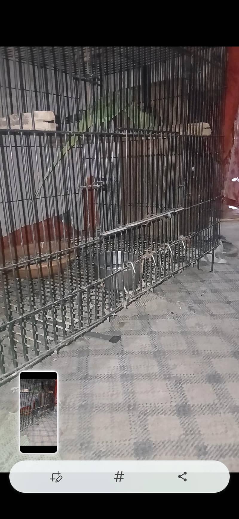 03235040831 5