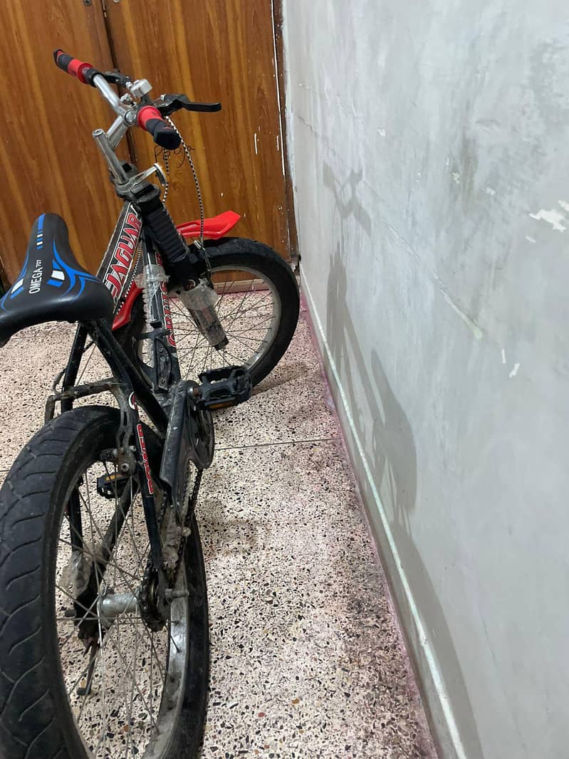 New cycle 0