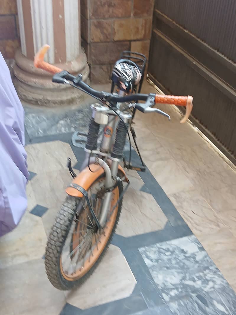 20 inch cycle 2