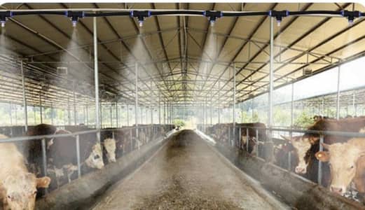 Dairy Farm Fooger | Temperature Controller
