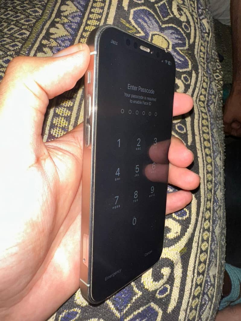 12 pro 1