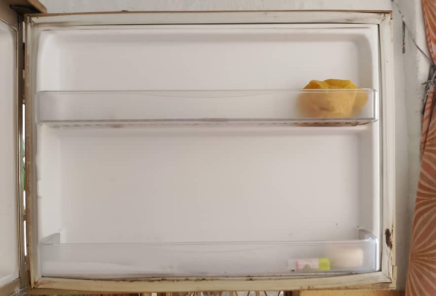 Waves Fridge 1