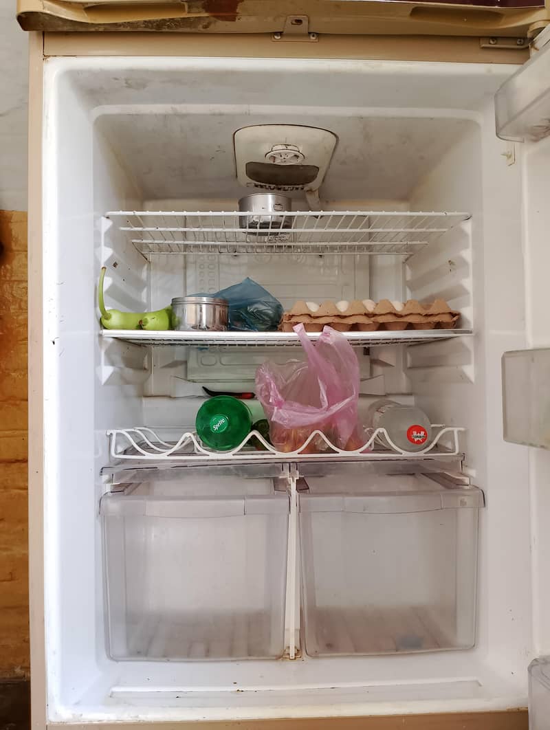 Waves Fridge 4
