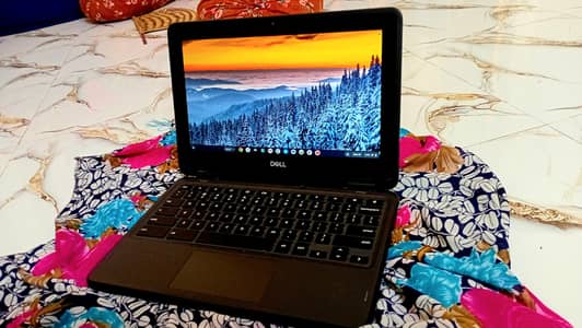 Dell 3100 2in1 Touch Screen