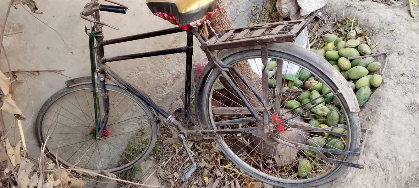 sohrab cycle 0