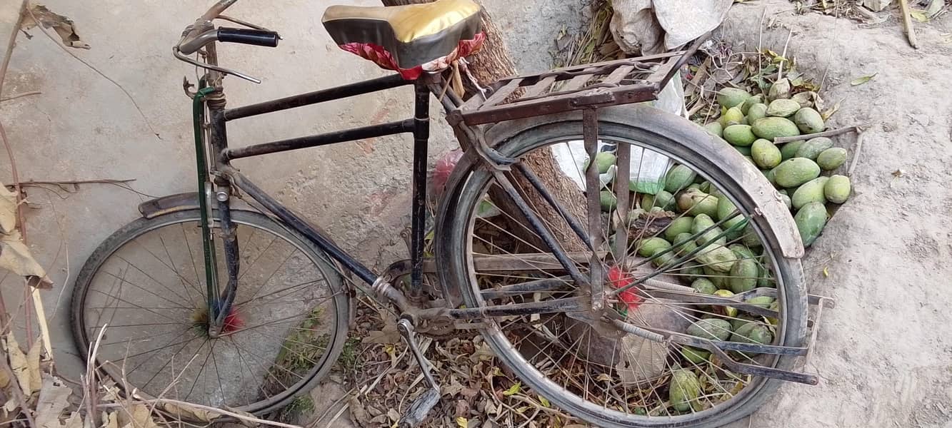 sohrab cycle 1