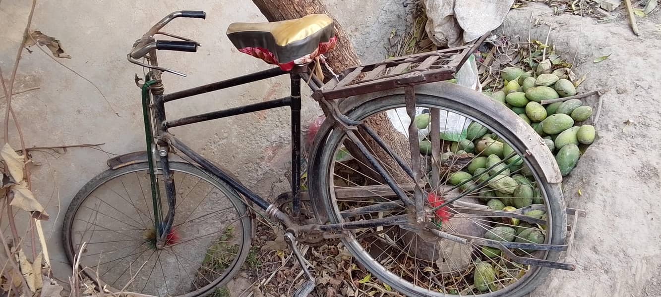 sohrab cycle 2