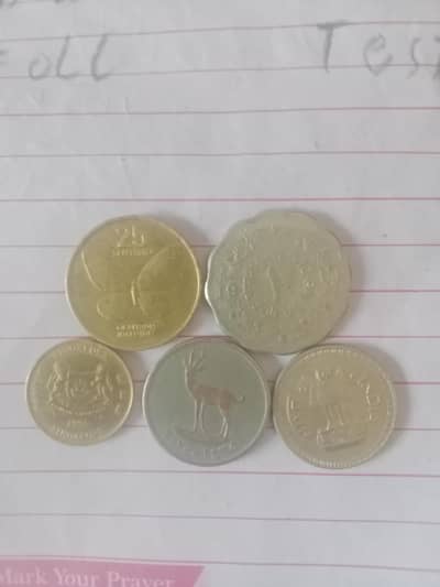 Pakistani 10pado, indian 25 peso, si gapuri 5 cent and others