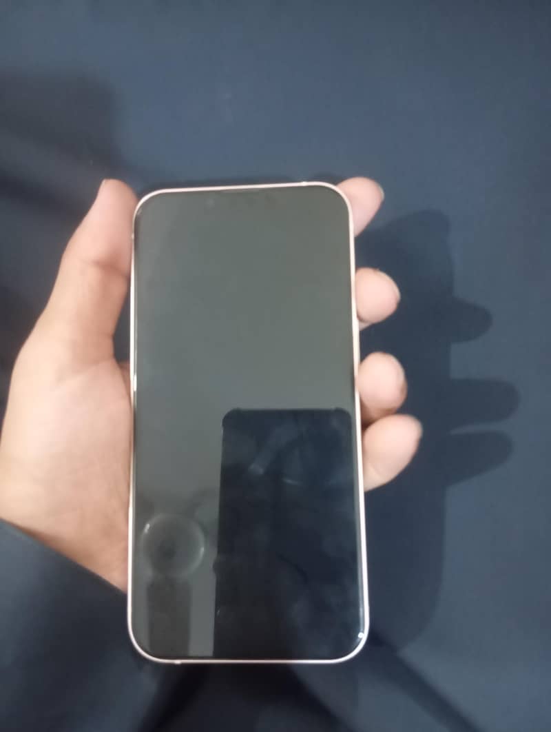 Apple iPhone 13 0