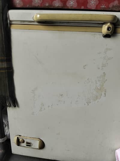 Freezer Fridge, Air Cooler