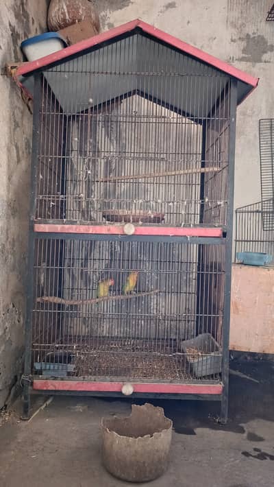 Cocktail breeder pair