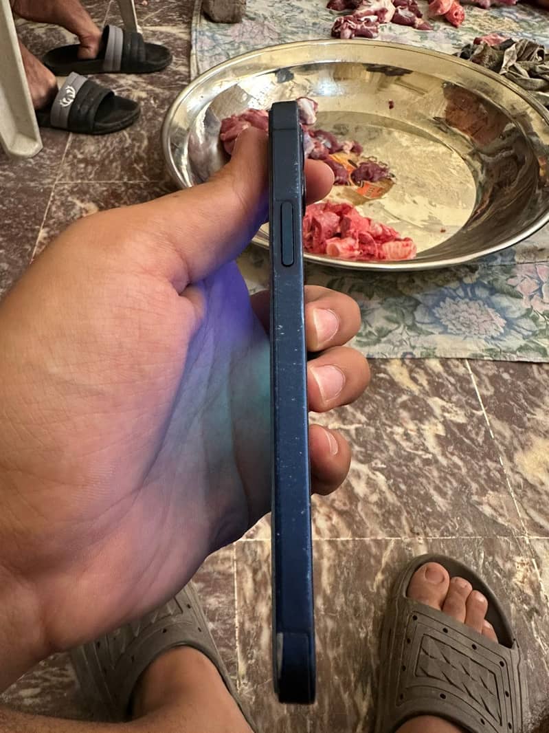 Apple iPhone 12 0