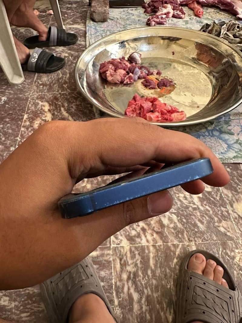 Apple iPhone 12 5