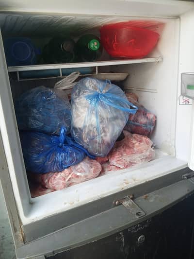 used frig bus Thora gas ka masla hai