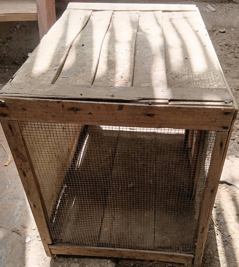 hen cage 2