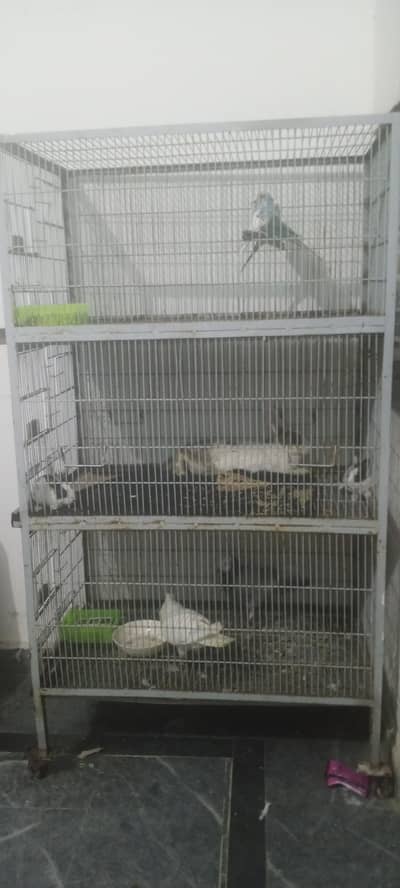 cage for sale only cage