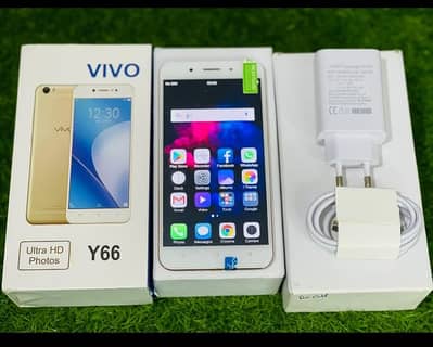 Vivo Y66 Whatsapp 03481933663
