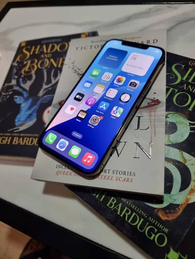 Apple iPhone 12 Pro Max