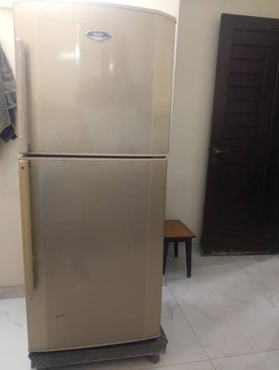 Fridge | Haier Large Size Refrigerator | Haier Refrigerators