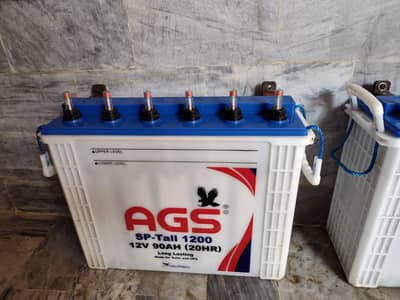 AGS BATTERY 2 PCS 6 MONTH USE WITH WARRANTY CARD