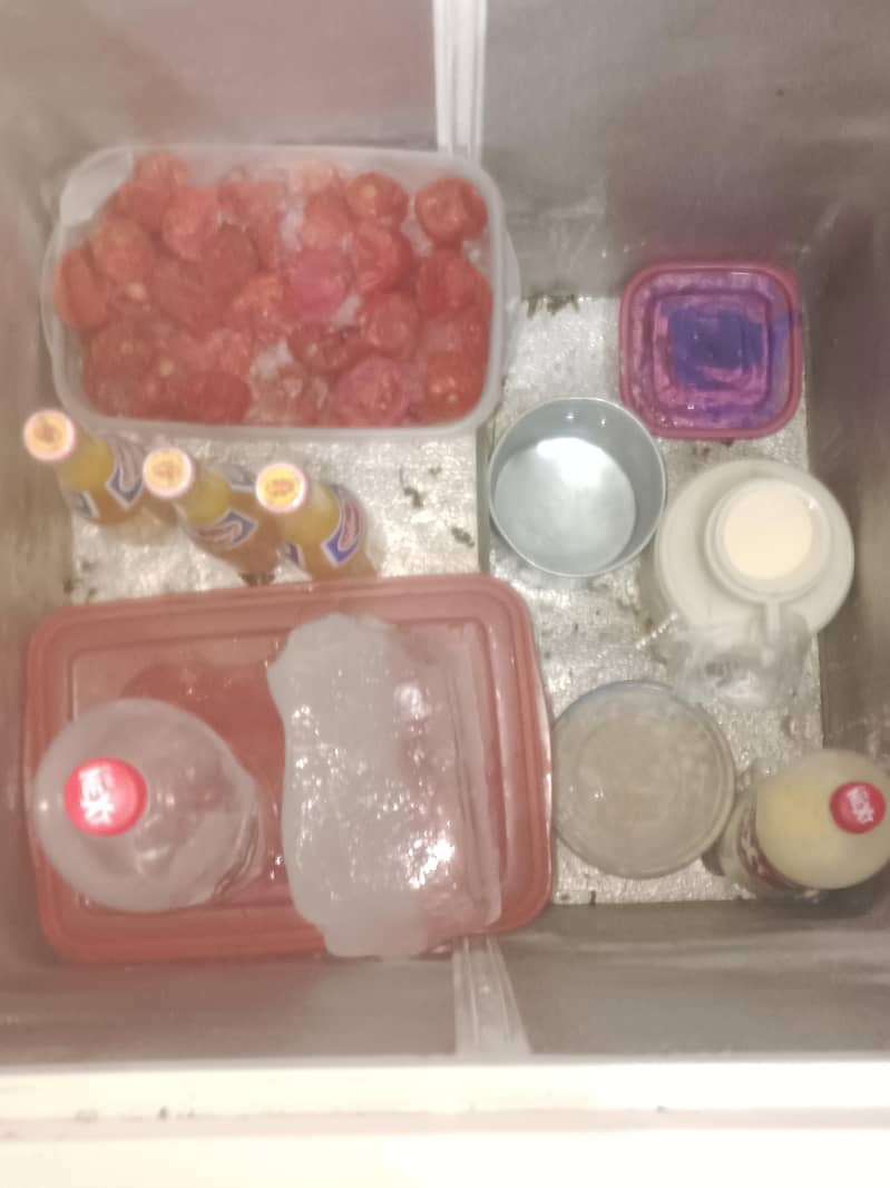 waves deep freezer 1
