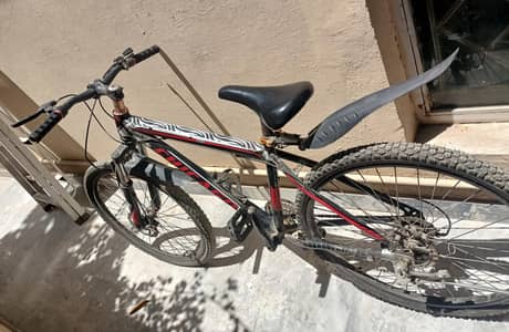 Chicago Bicycle for sale