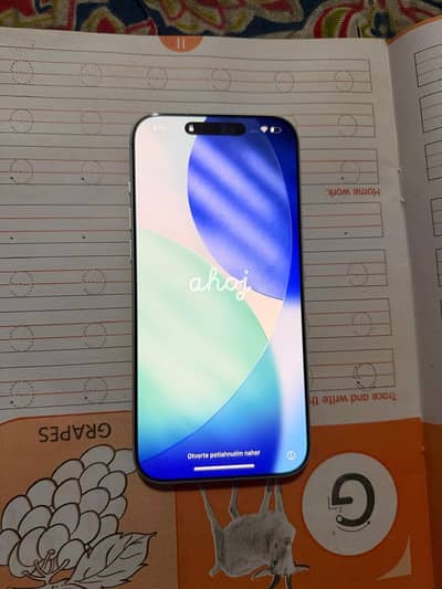 Apple iPhone 17 Pro Max