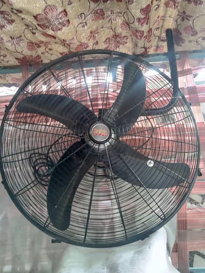 new fan