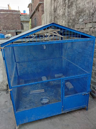 Hen Cage