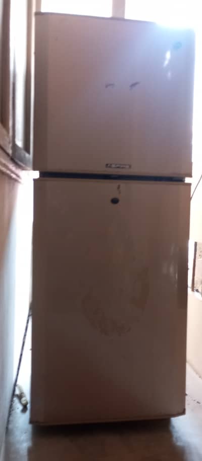 Pel medium size fridge