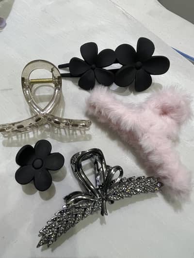 Pack of 5 Hair clips, Hair catchers