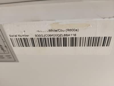model R600a