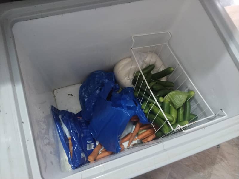 deep freezer 1