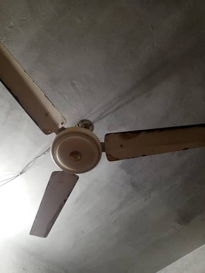 only ac hai