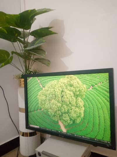 DELL UltraSharp U2410 (DP) for sell