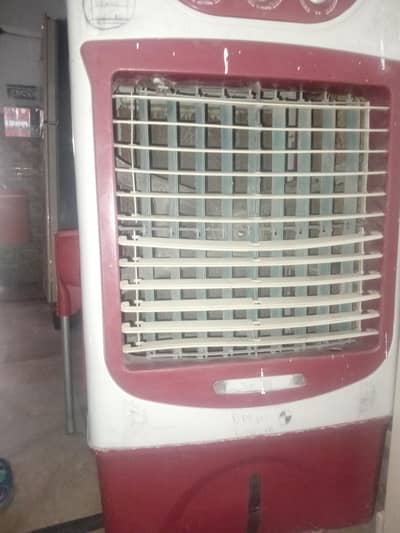 12v cooler