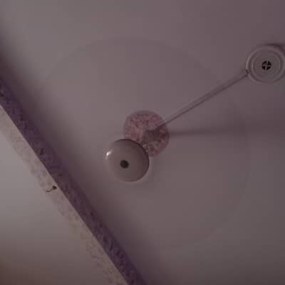 2 Royal Fan for sale